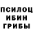 Псилоцибиновые грибы Psilocybine cubensis Sudarsan Singha