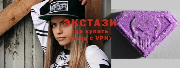 ECSTASY Бородино