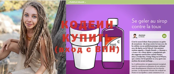 ECSTASY Бородино