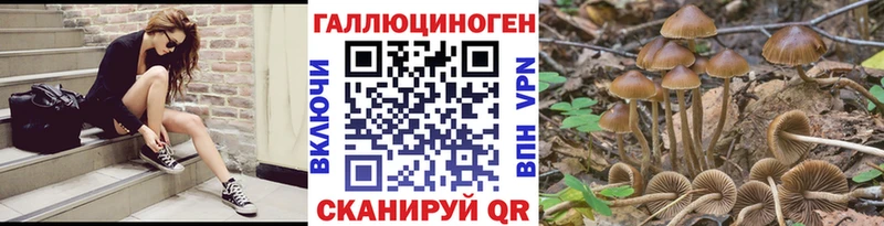 Псилоцибиновые грибы Psilocybe  где можно купить   Прокопьевск 