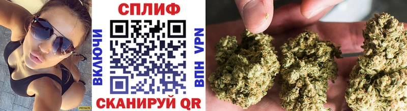 где можно купить наркотик  Прокопьевск  дарк нет наркотические препараты  Бошки марихуана конопля 